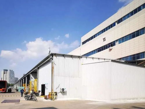 暗訪上海 一日游 野雞團