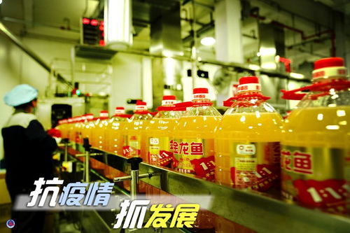 抗疫情 抓發展